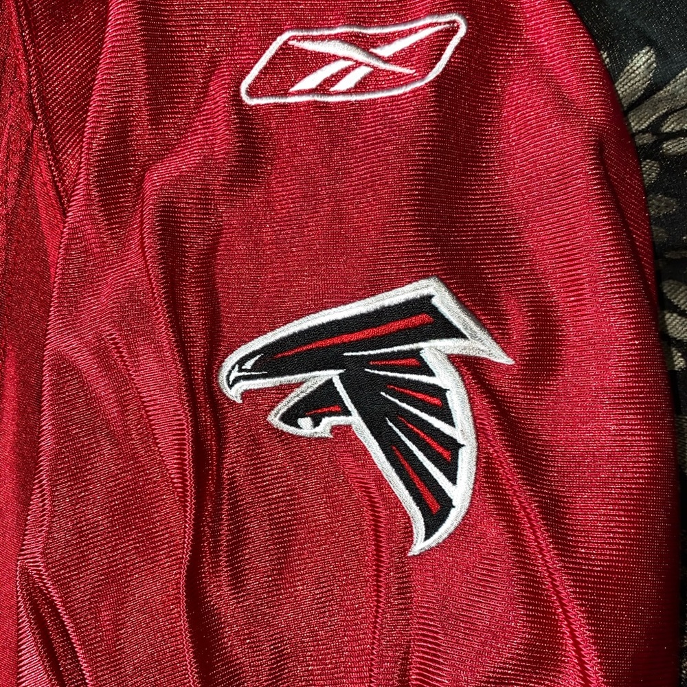 Michael Vick - Picture 6 of 7